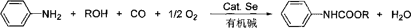 Method for synthesizing phenyl carbamate