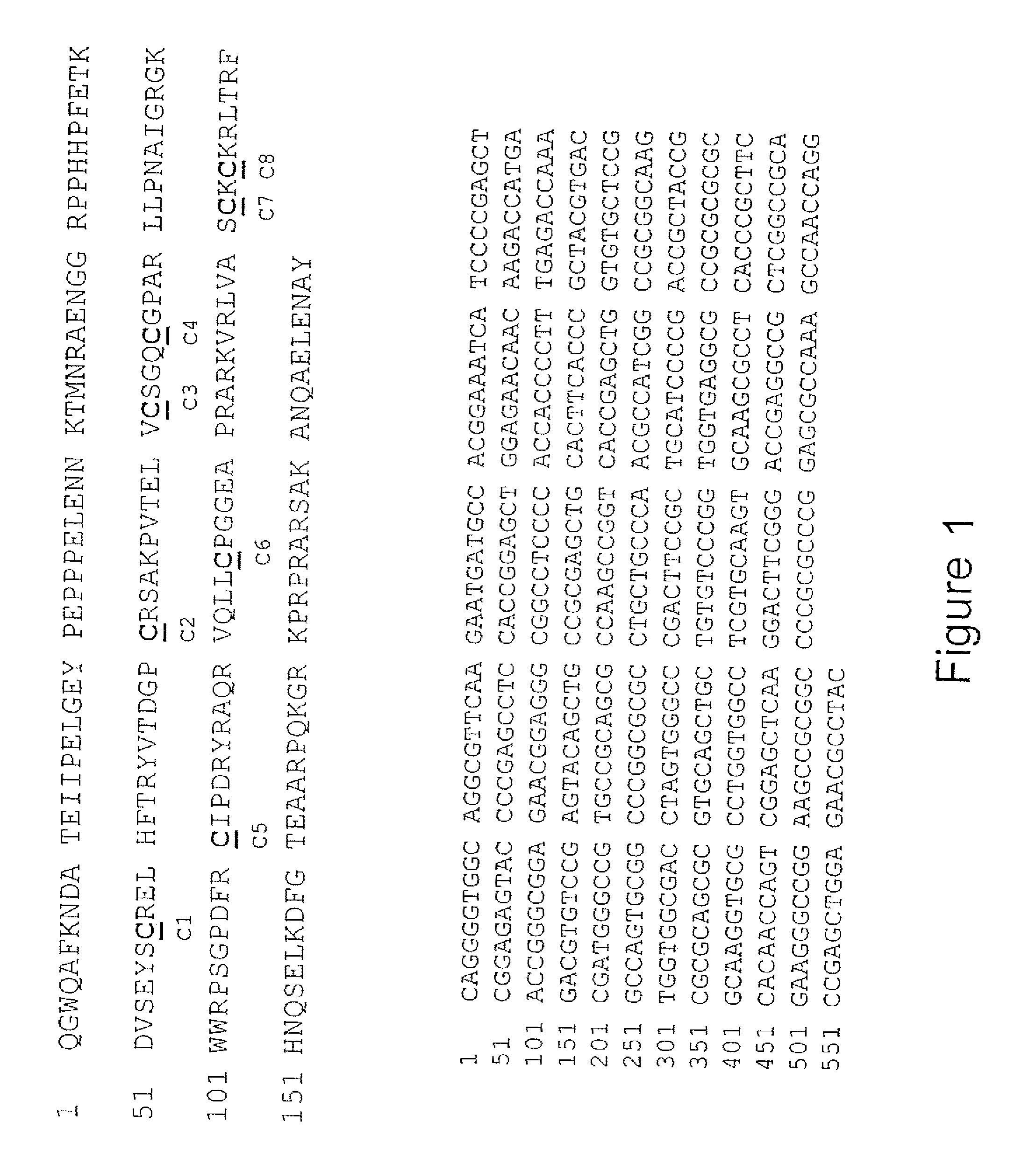 Antibody-based diagnostics and therapeutics