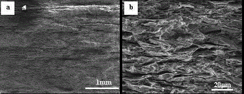 Preparation process for highly oriented graphite composite material