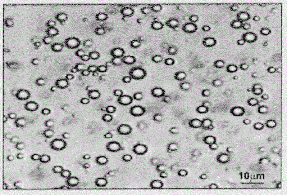 Ultra-sensitive magnetic nanometer detection technology for hepatitis C virus (HCV)