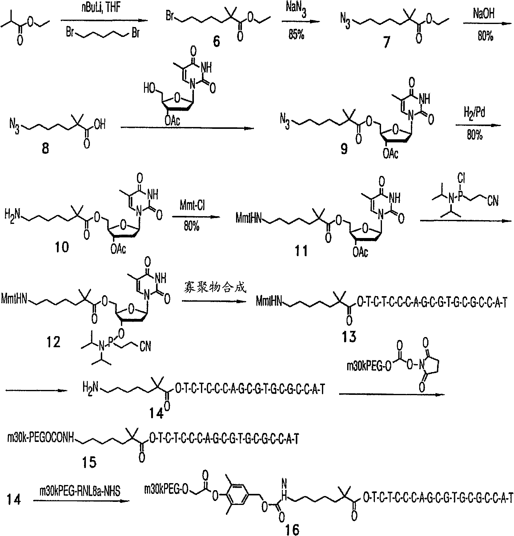 Polymeric conjugates containing positively-charged moieties