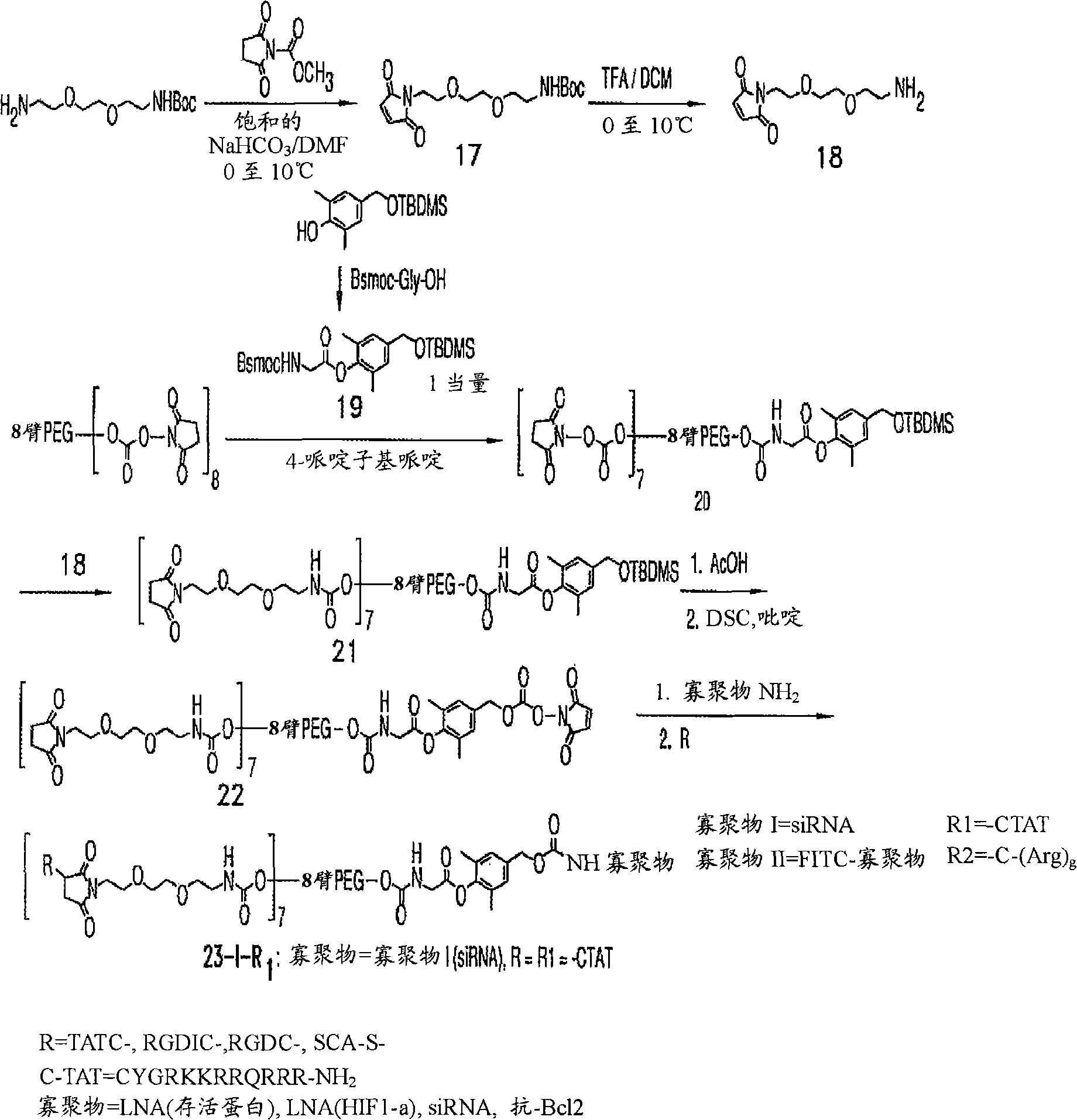 Polymeric conjugates containing positively-charged moieties