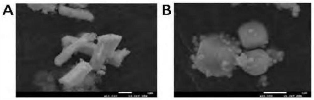 Titanium dioxide compound with anti-tumor effect