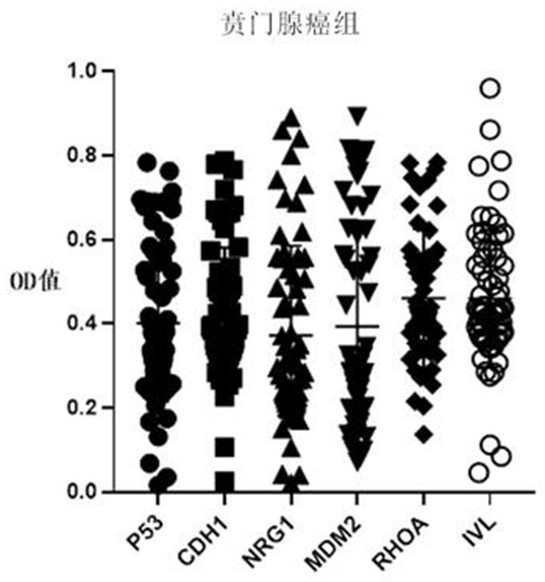 An ELISA kit for combined detection of autoantibodies for early-stage cardia adenocarcinoma screening