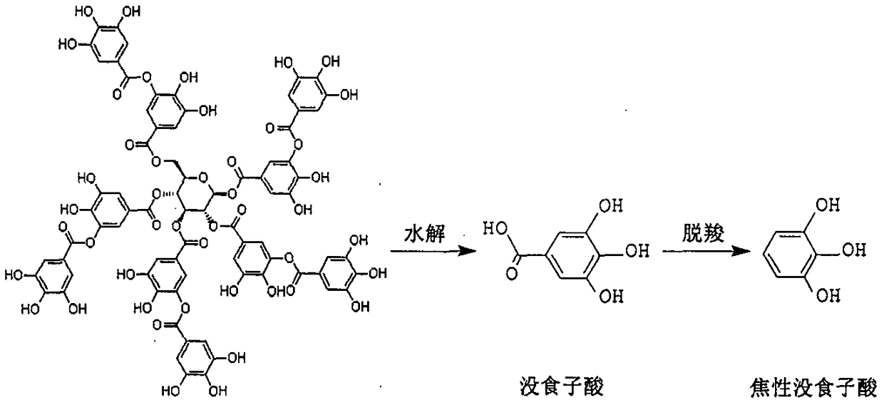 A method for the separation and purification of gallate decarboxylase