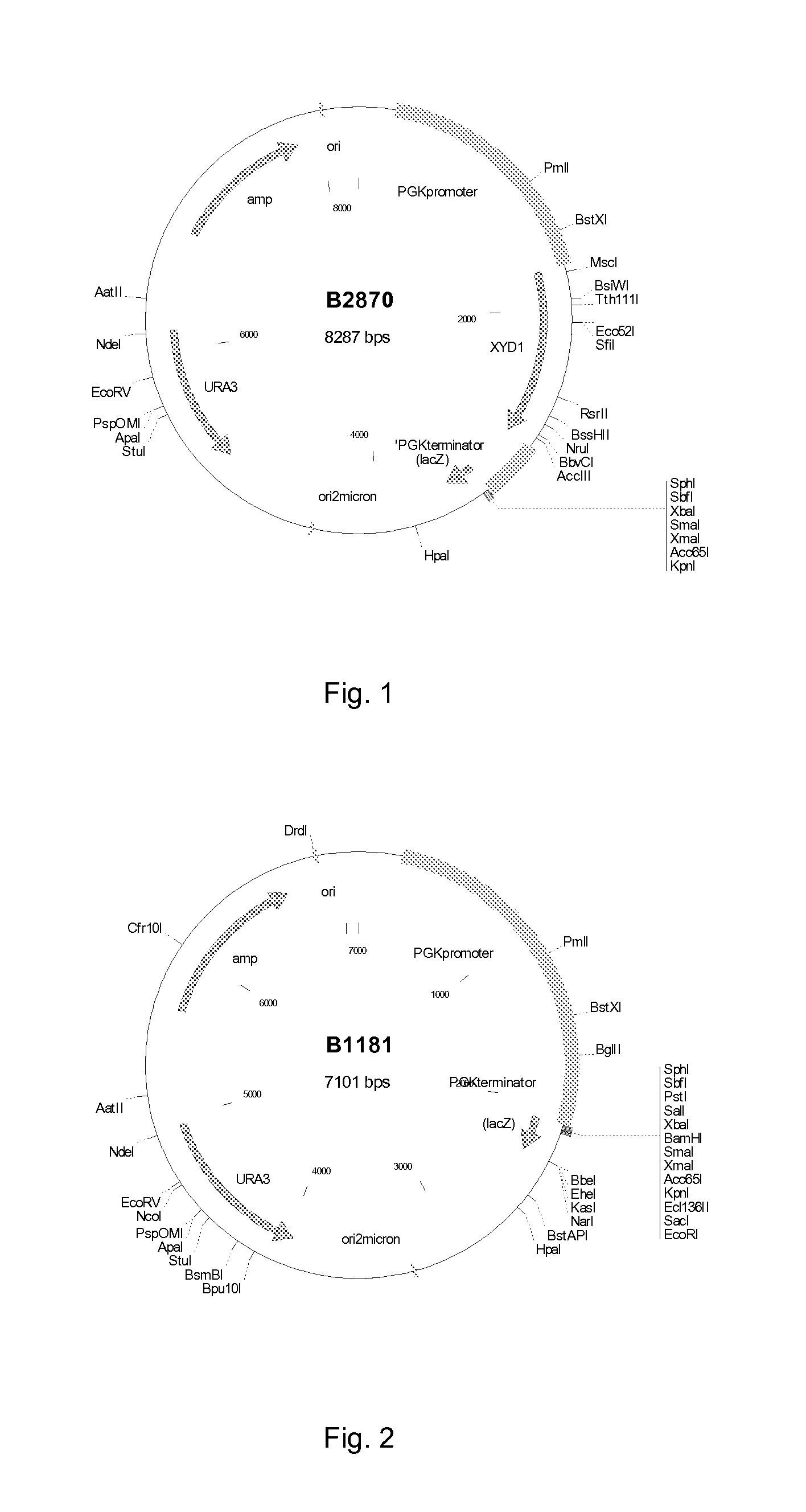 Manufacture of xylonic acid