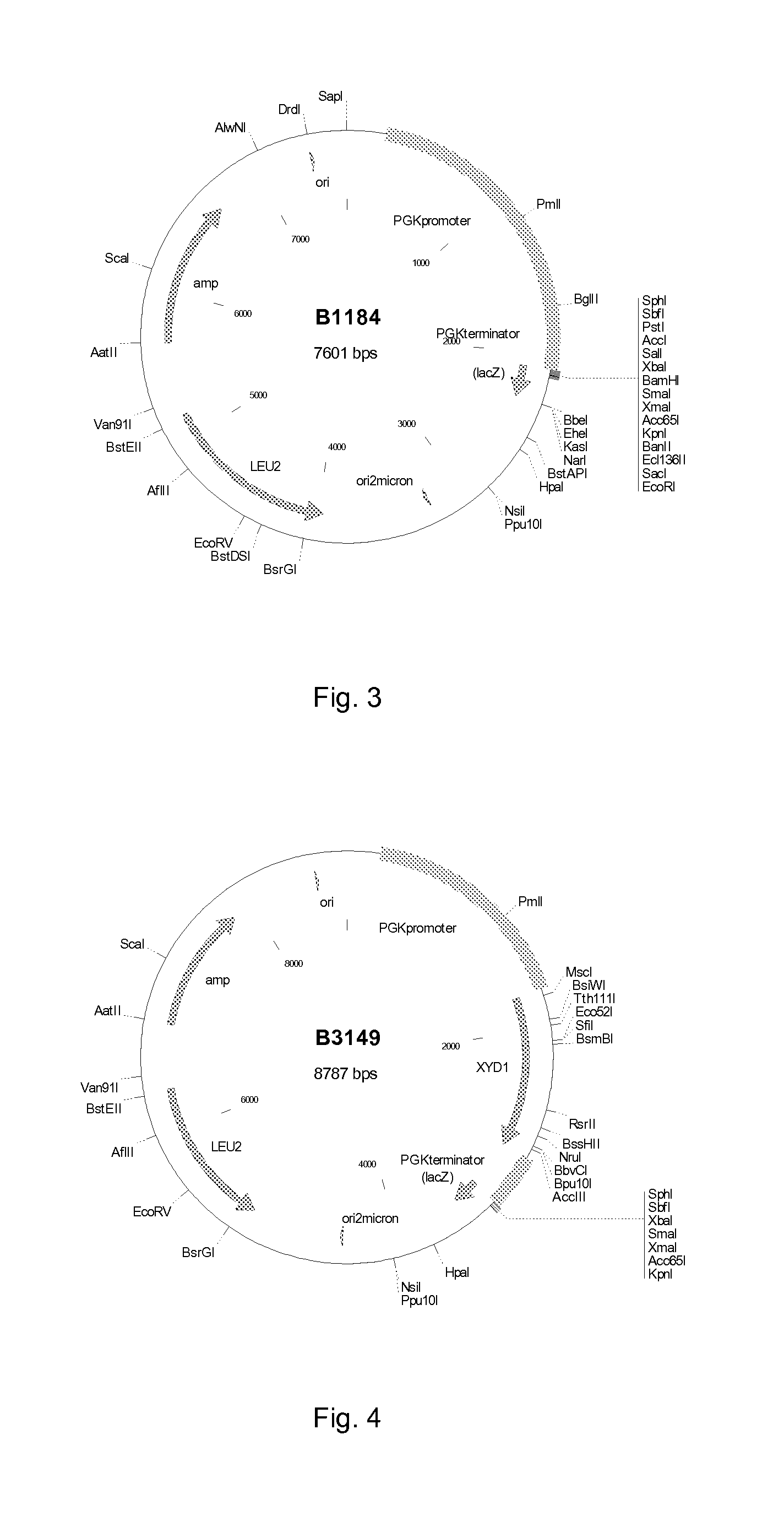 Manufacture of xylonic acid