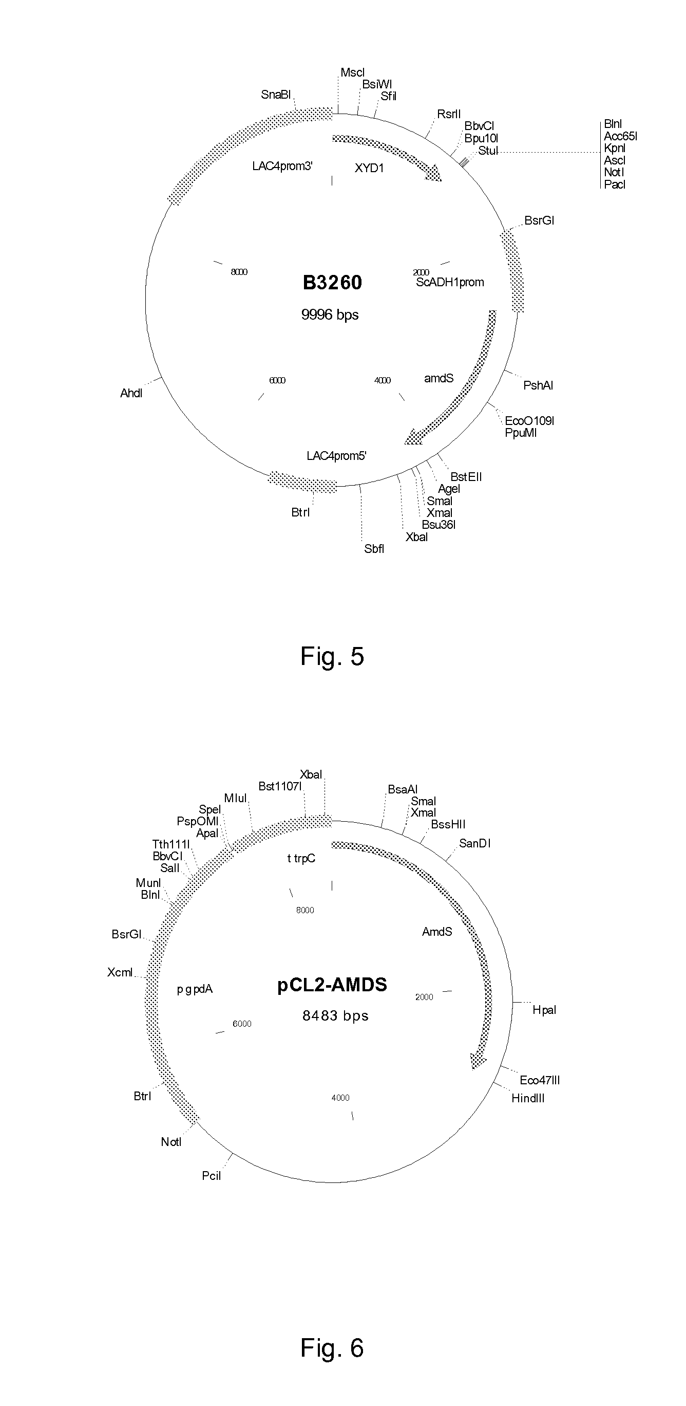 Manufacture of xylonic acid