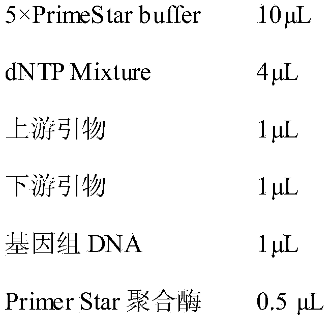 PGL (Polygalacturonate Lyase) mutant capable of improving secretion performance