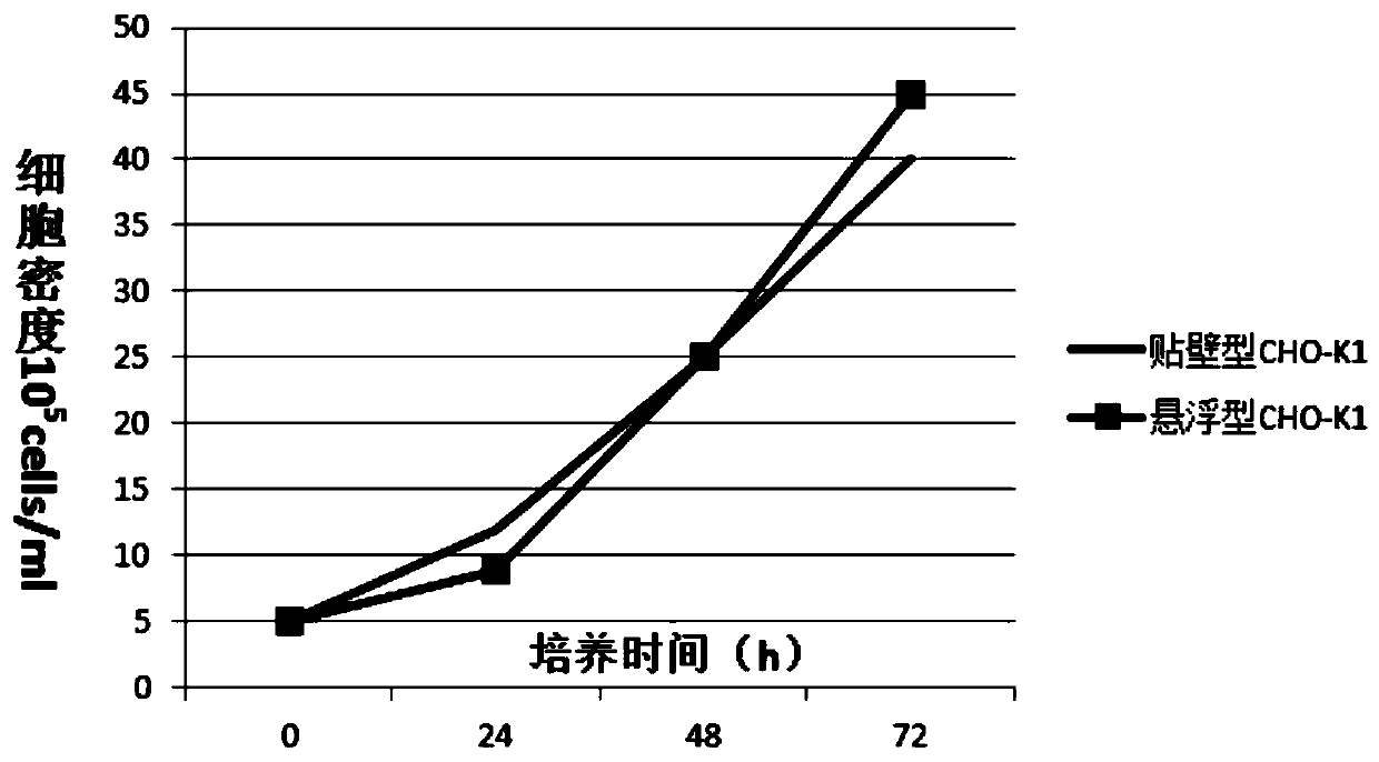 Suspension cell line and domestication method thereof