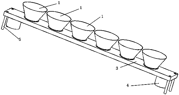 Capillary nutrient bowl