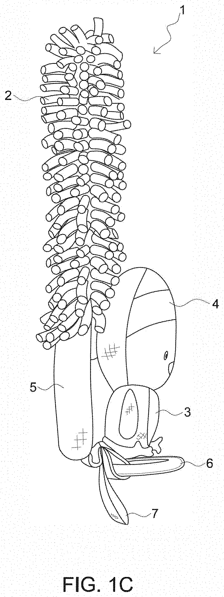 Parent-infant-interactive, sensory-stimulation toy and methods of use