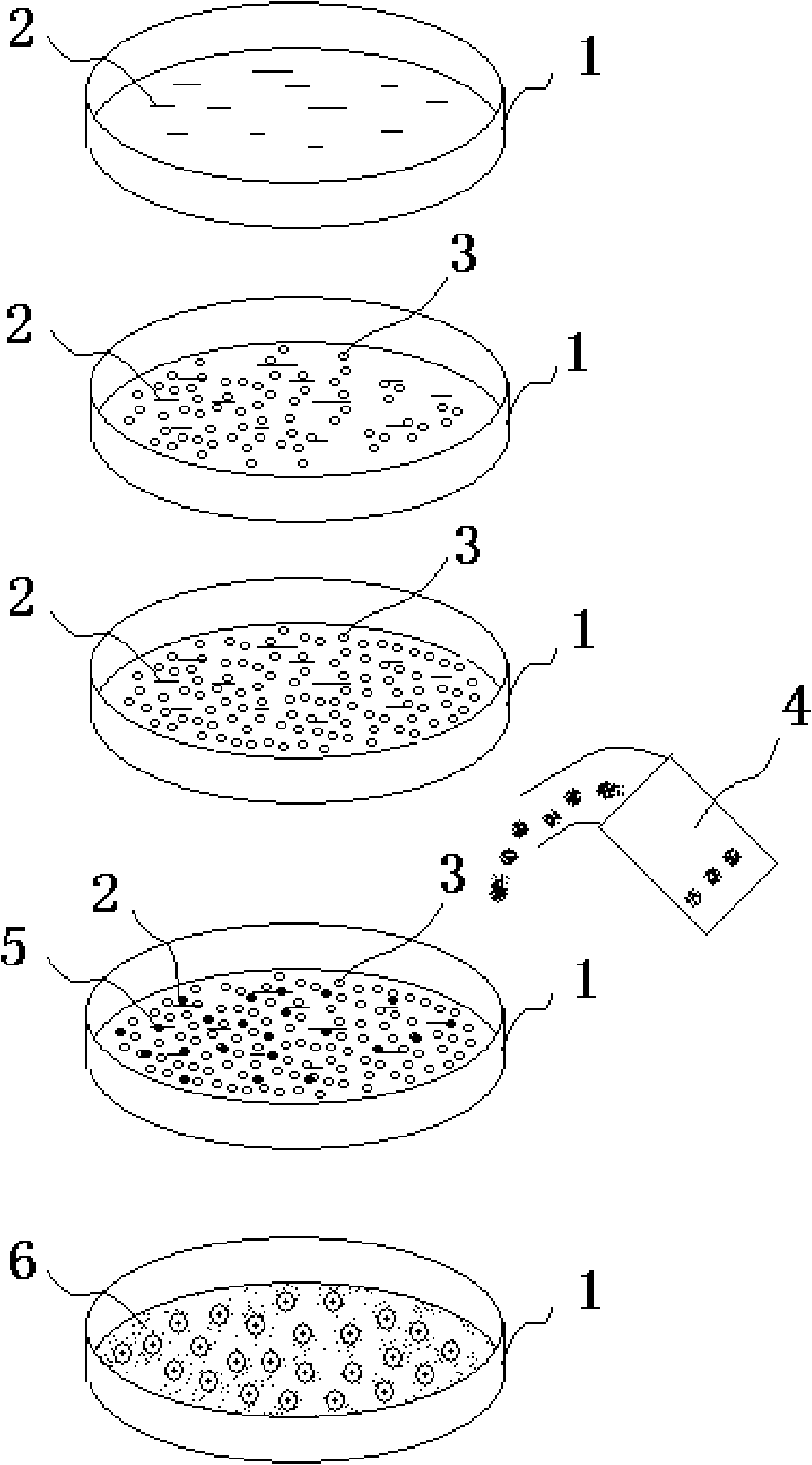 Surface treatment method of tissue-engineered bioactive implant