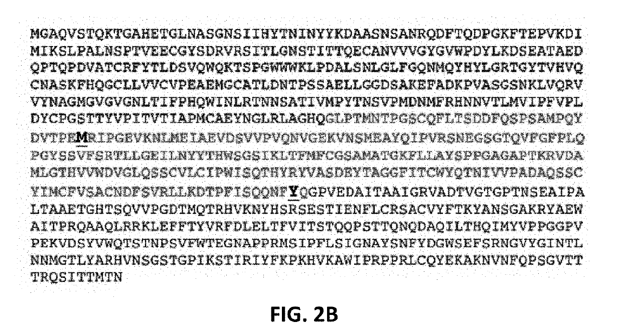 Method for Treating Cancer with a Coxsackievirus B3 (CVB3) Variant