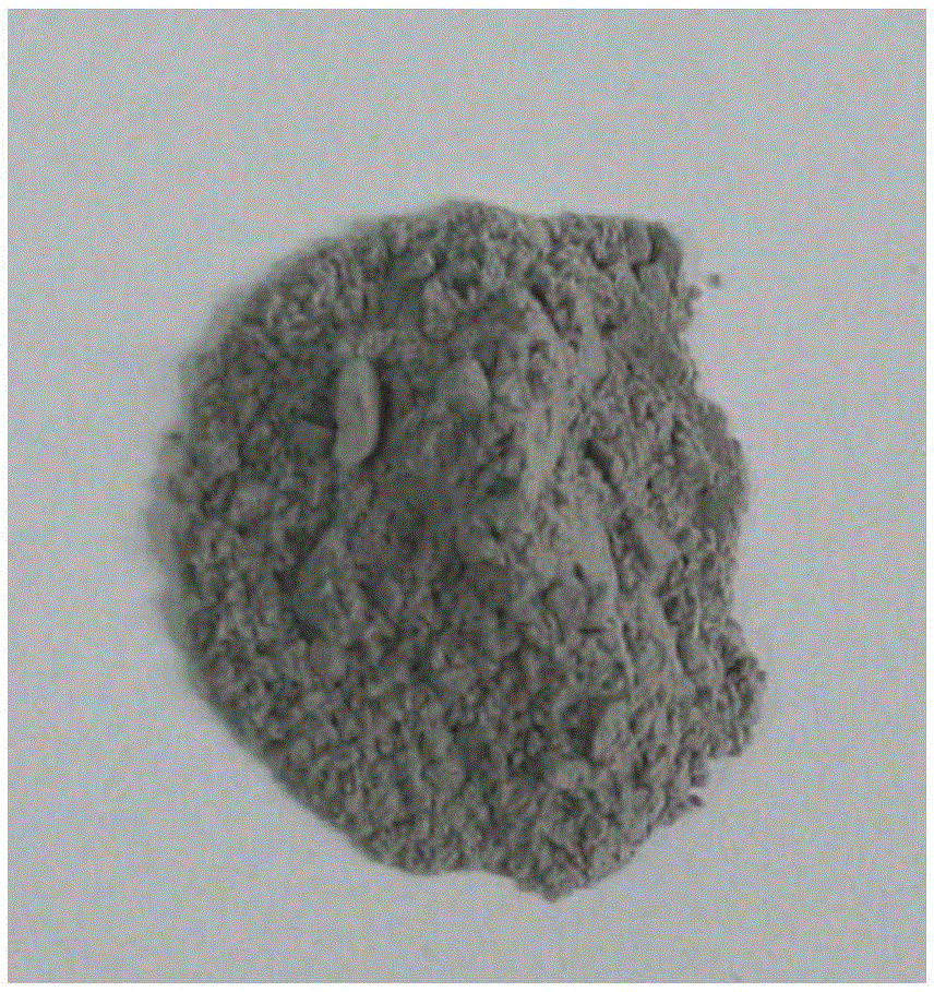 Method for coating polymeric microsphere with carbon nano tube