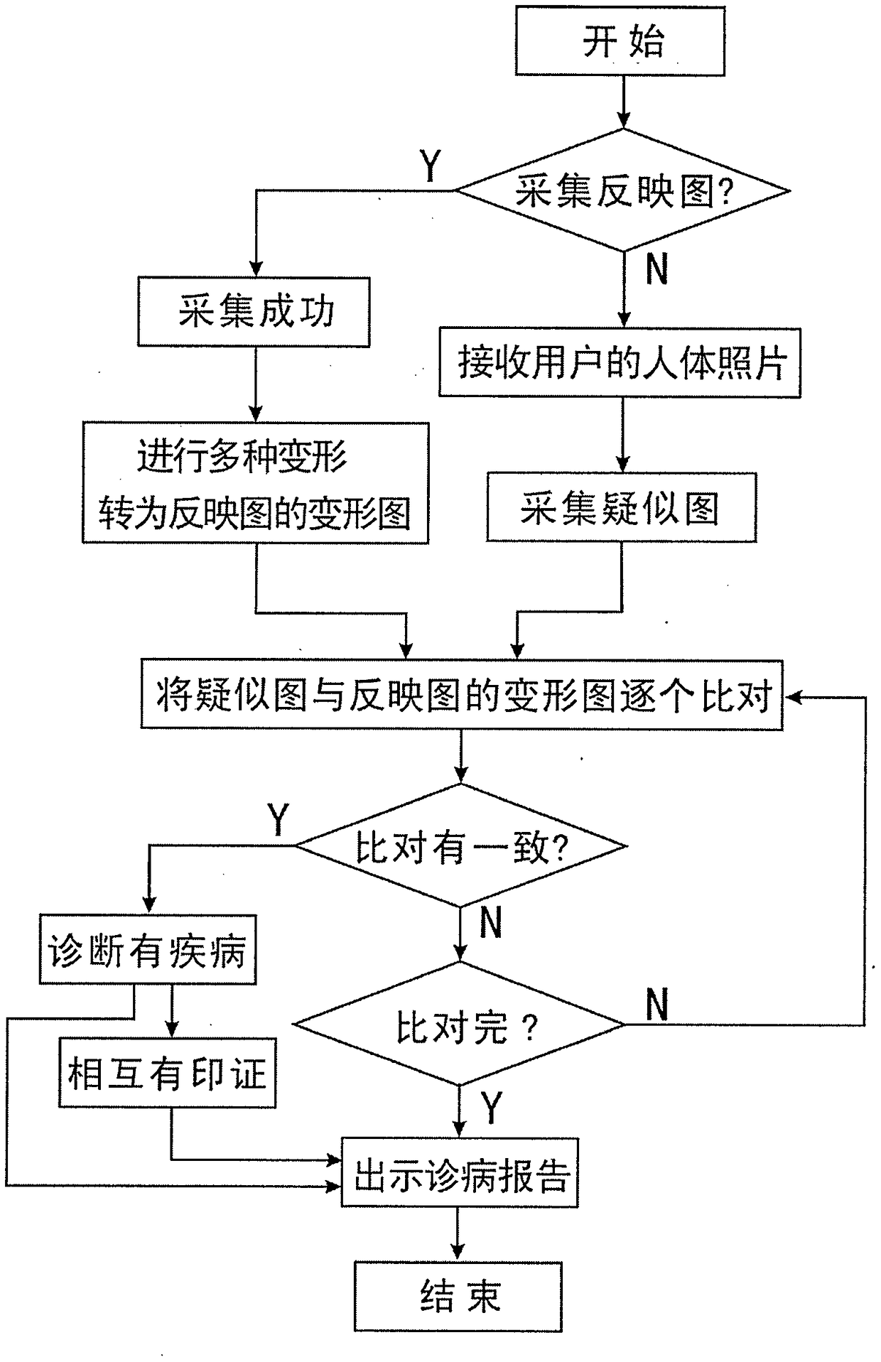 Large-scale artificial intelligence system and method for performing diagnosis based on human body pictures