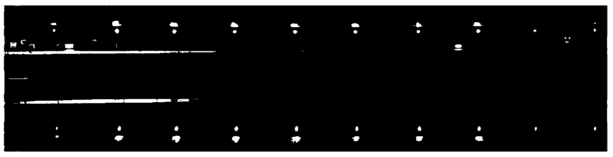 Map construction method and device based on laser point cloud