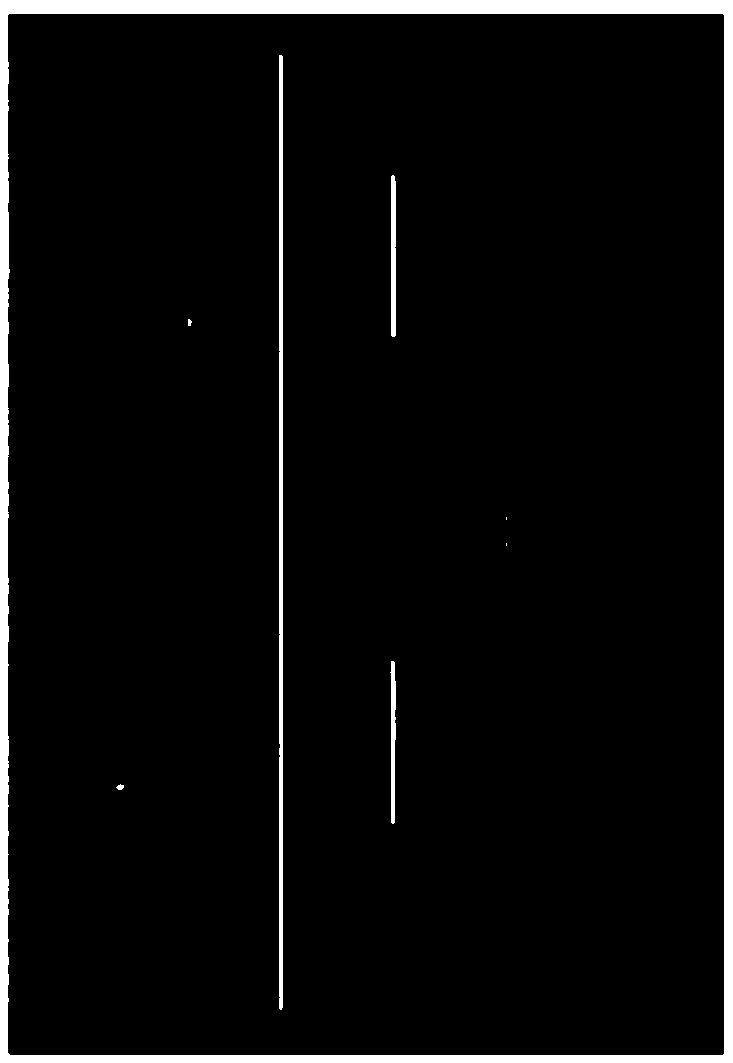 Map construction method and device based on laser point cloud