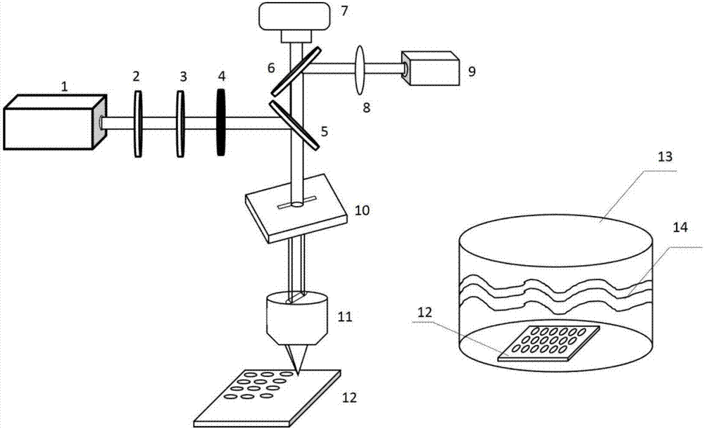 Electronic dynamic control and chemical auxiliary corrosion-based machining method for oval microlens