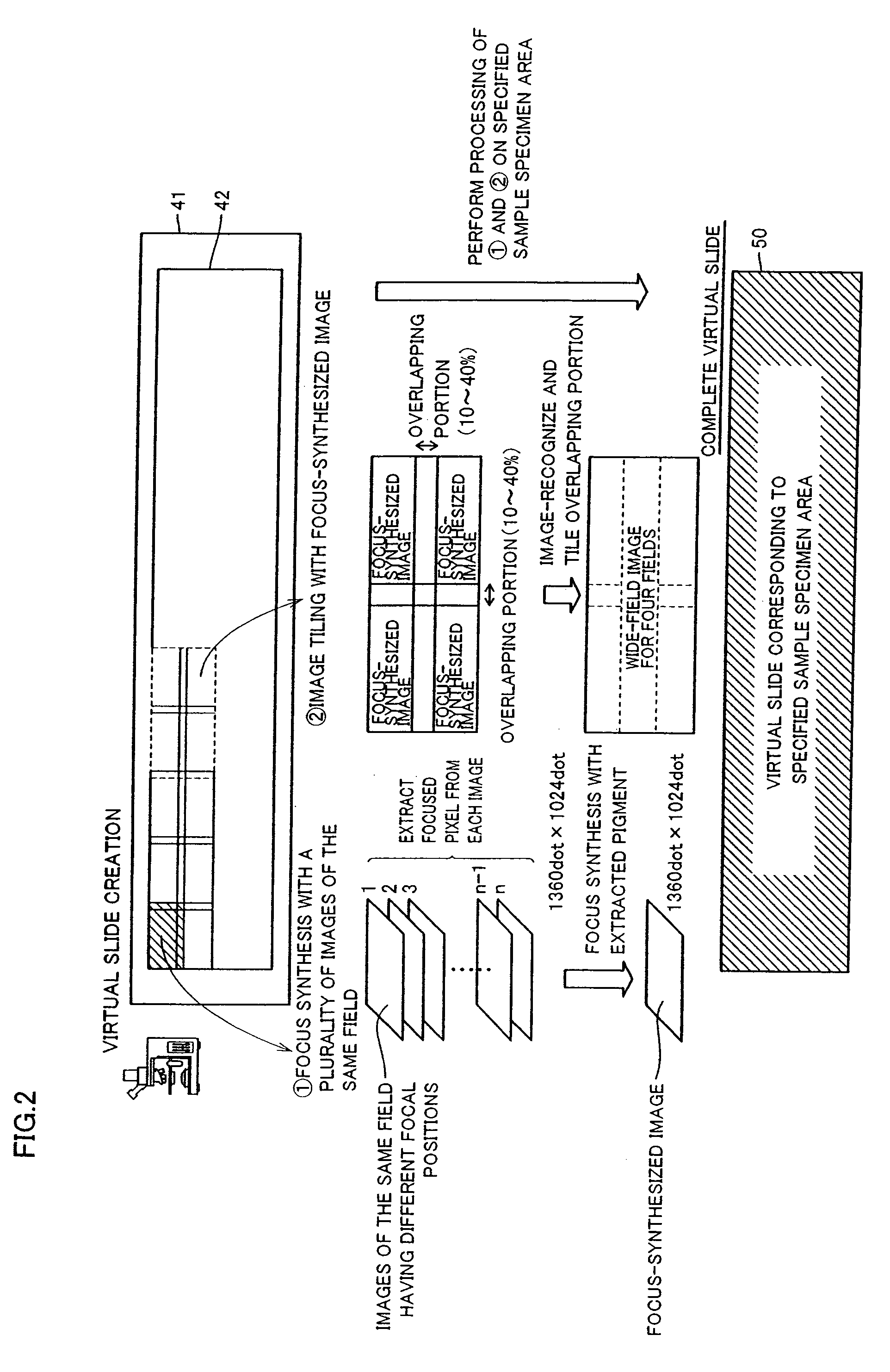 Method for displaying virtual slide and terminal device for displaying virtual slide