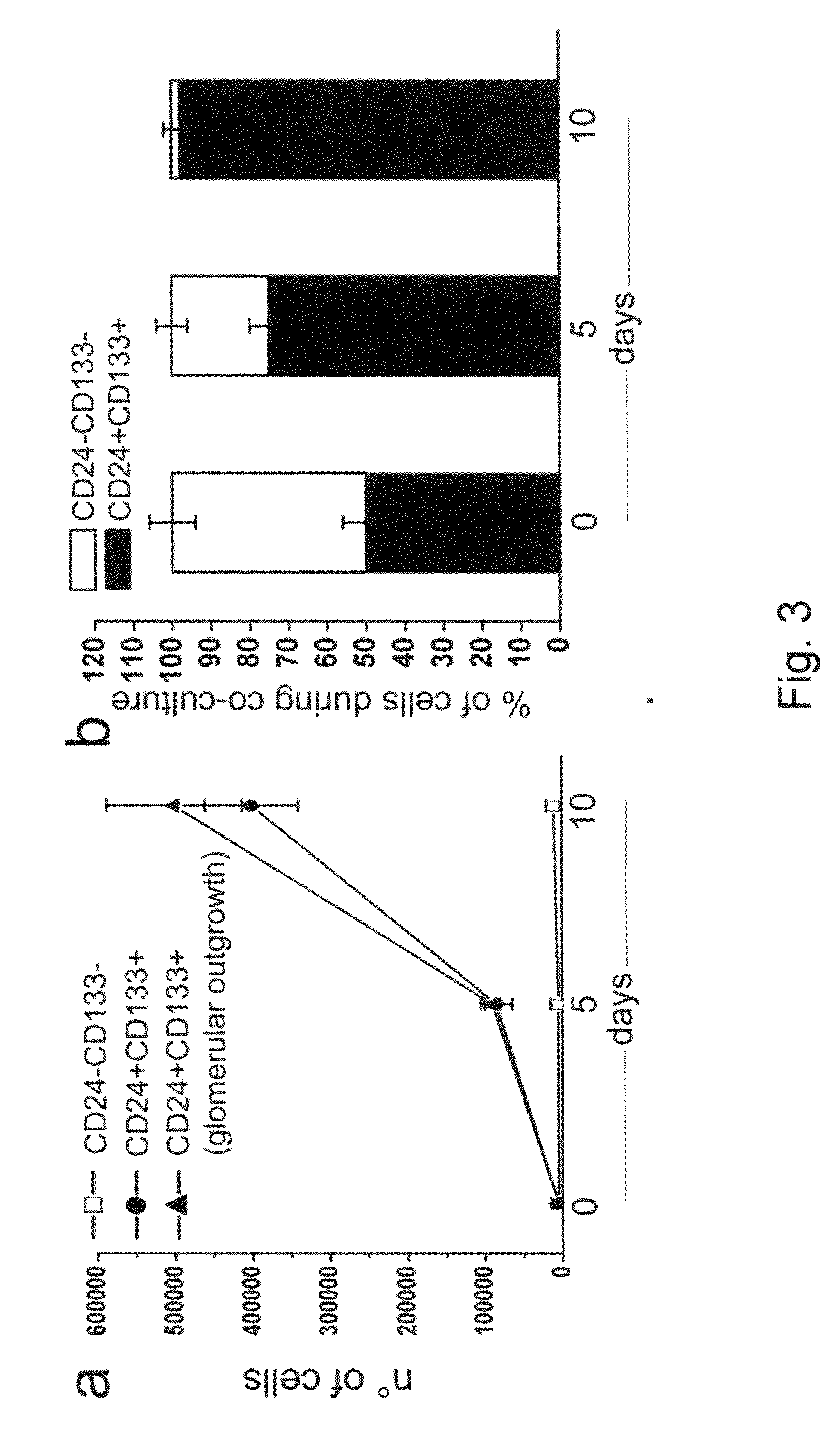 Kidney-Derived Stem Cell Population, Identification and Therapeutic Use