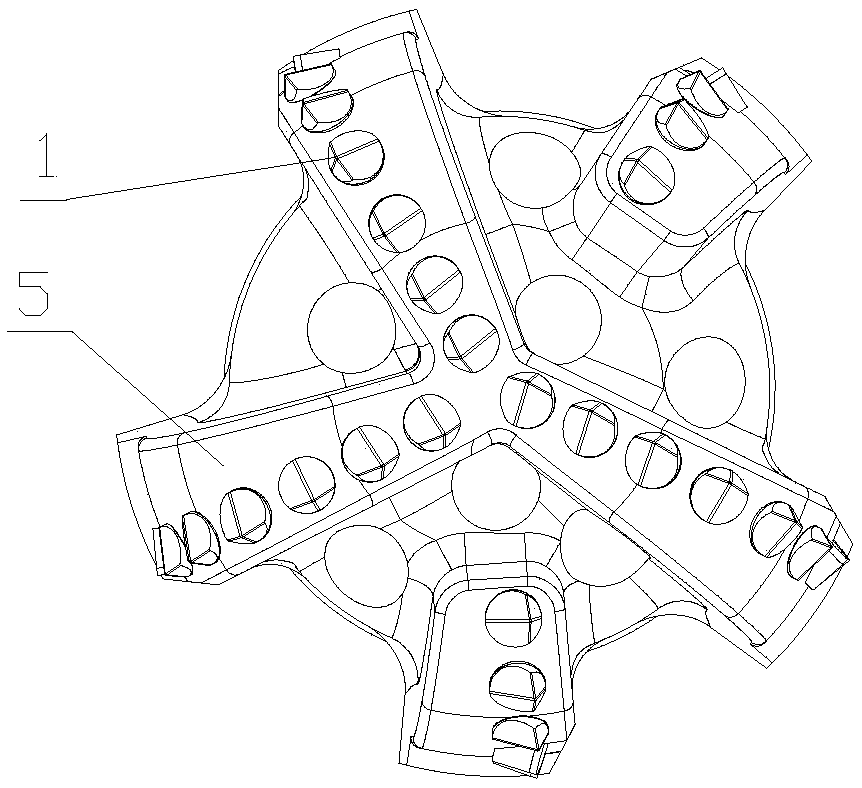 Special tooth PDC drill bit