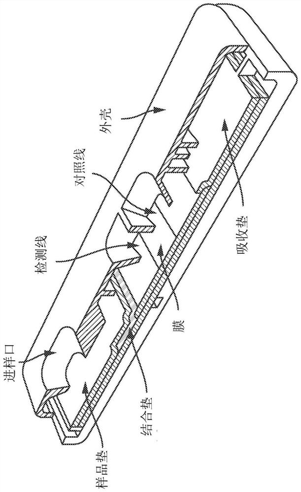 System and method for detecting therapeutic agents to monitor adherence to treatment regimen