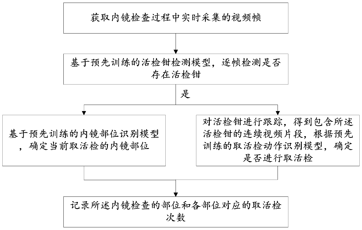 Method and system for automatically identifying biopsy parts and biopsy quantity under endoscope