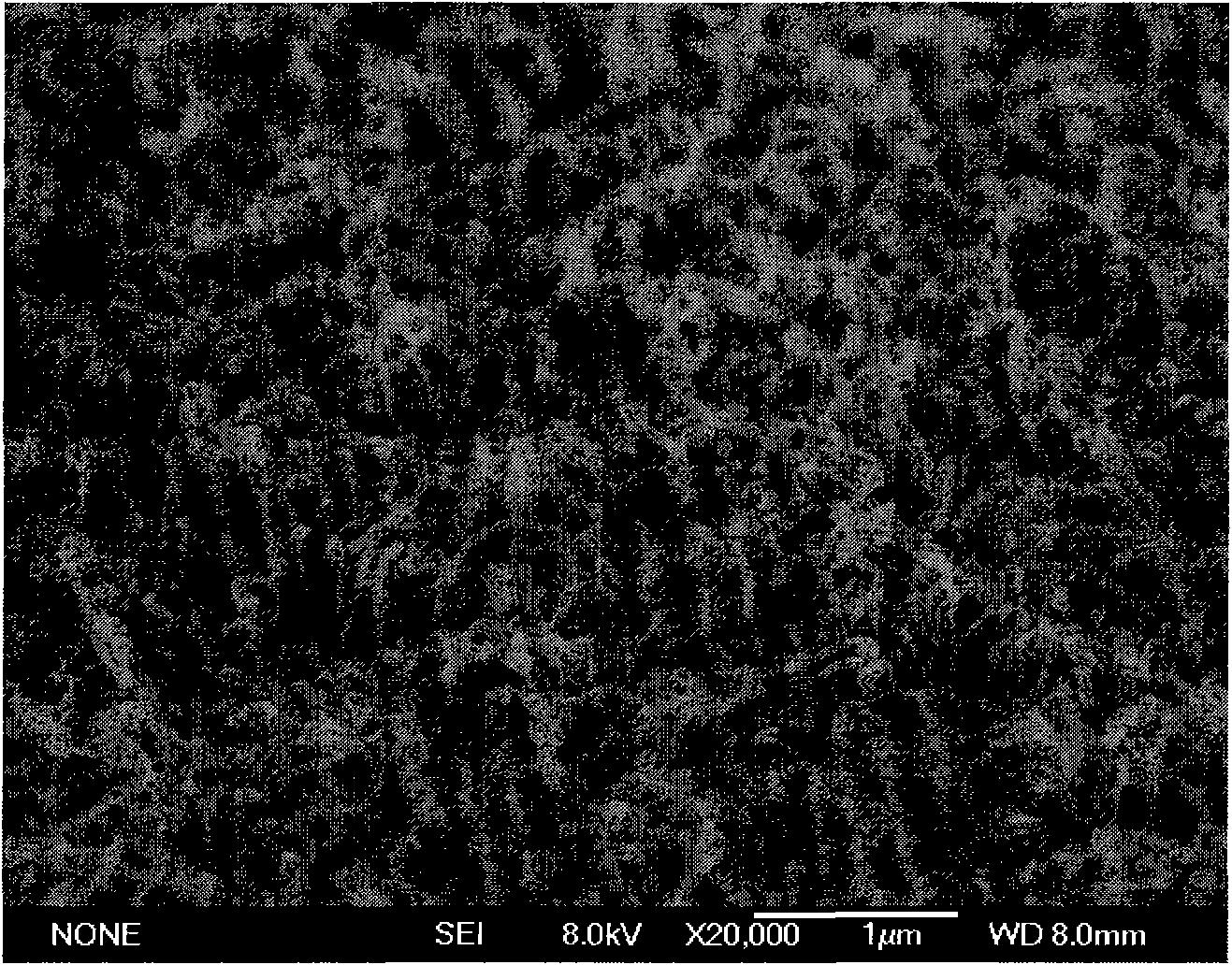 Method for preparing gamma-Fe2O3 nanometer wire filling carbon nitrogen multi-wall nanometer tubes through one-step reaction