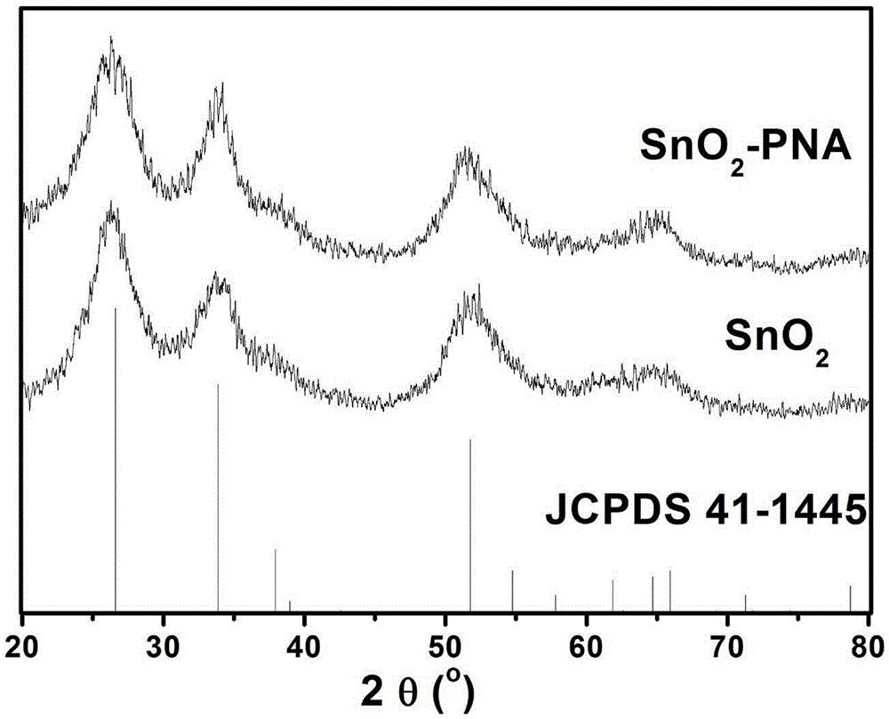 Preparation of Nano-SnO2 Loaded Polyα-Naphthylamine Nanotube Gas Sensing Materials