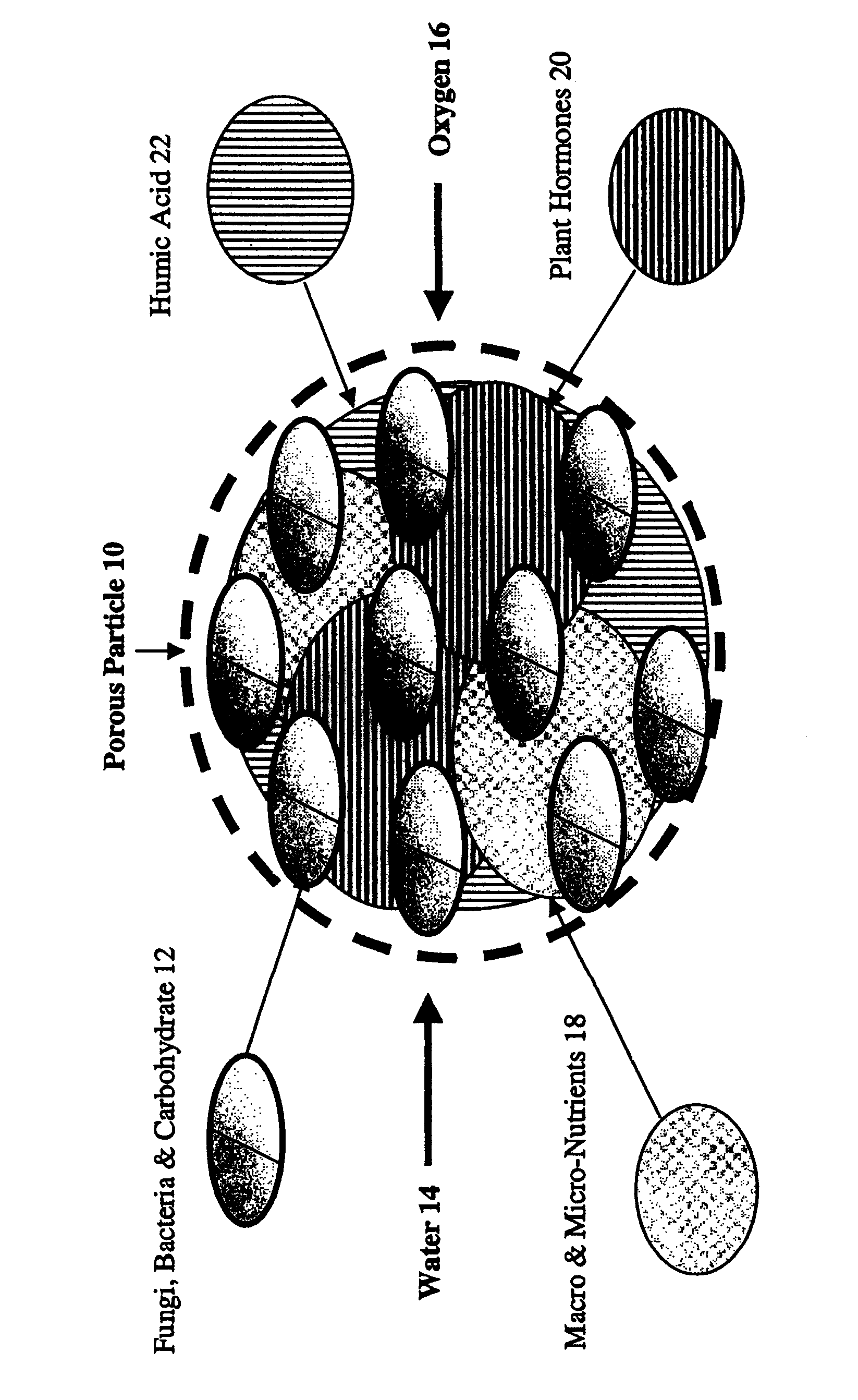 Biological soil nutrient system