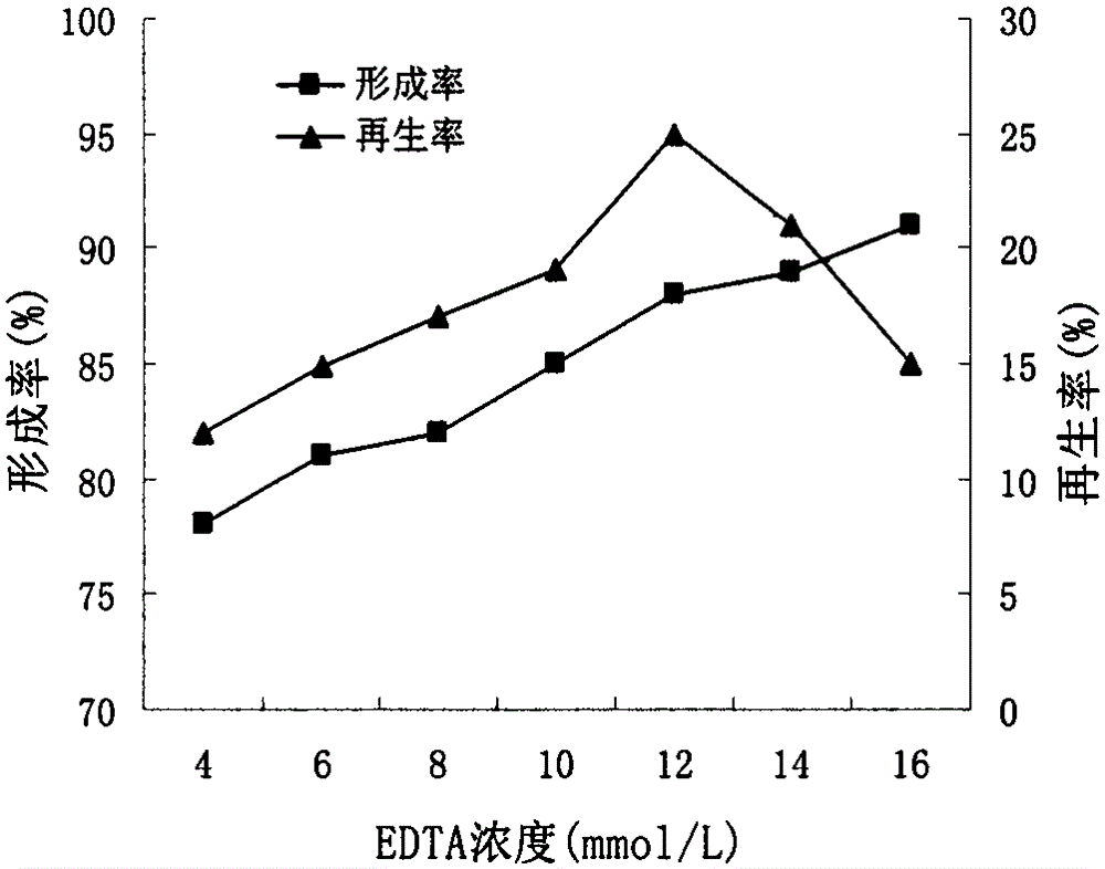 Method for preparing and regenerating sphingomonas sp protoplast