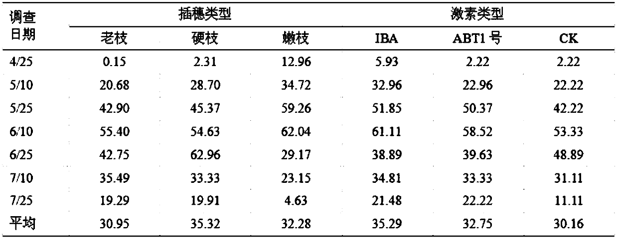 Hard wood cutting seedling culture method of Tamarix taklamakanensis