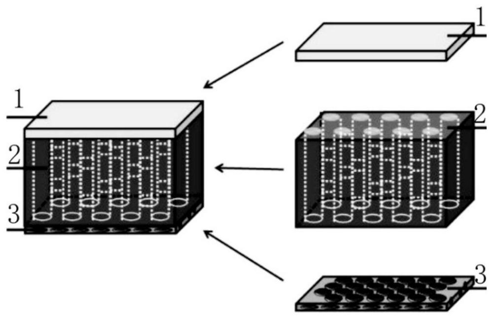 A biomimetic multilayer collagen scaffold for cartilage repair and its preparation method