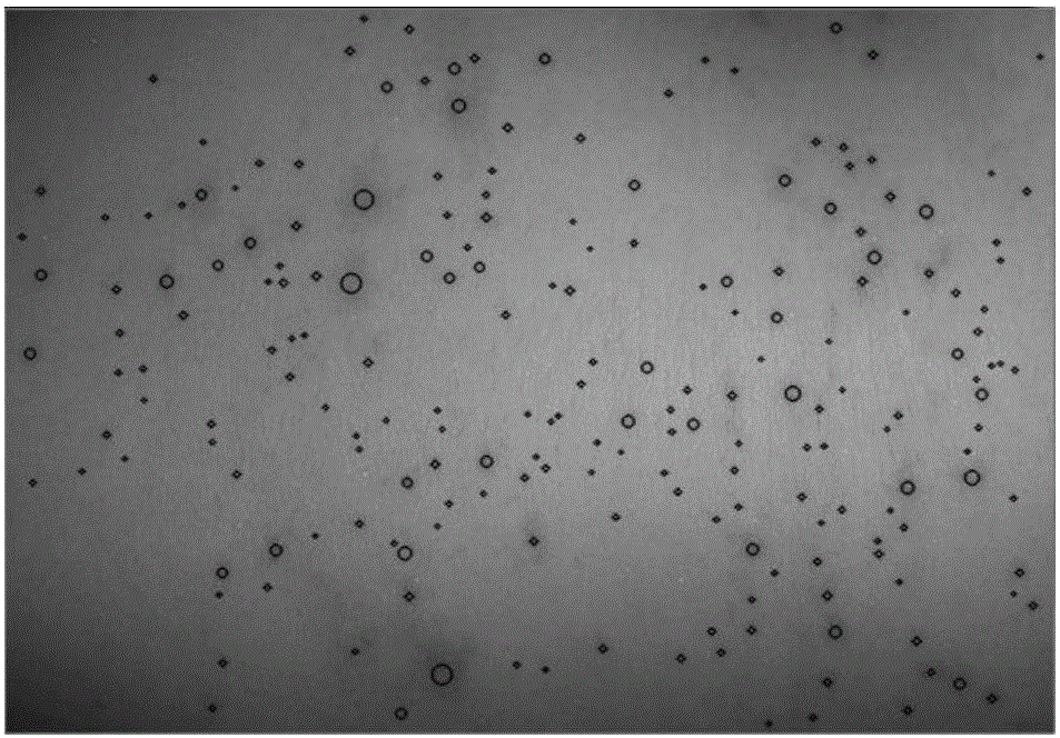 Skin rash point extraction method based on spot detection