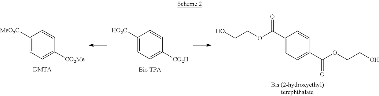 Processes for the production of terephthalate derivatives and compositions thereof