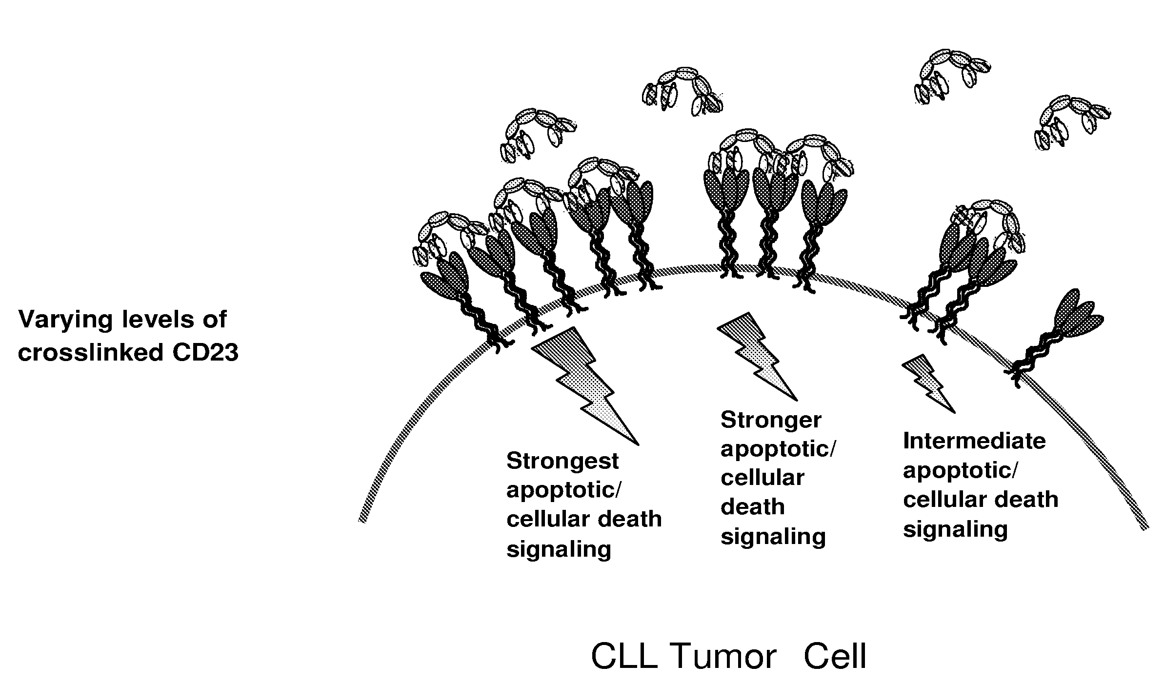 Cd23 binding molecules and methods of use thereof