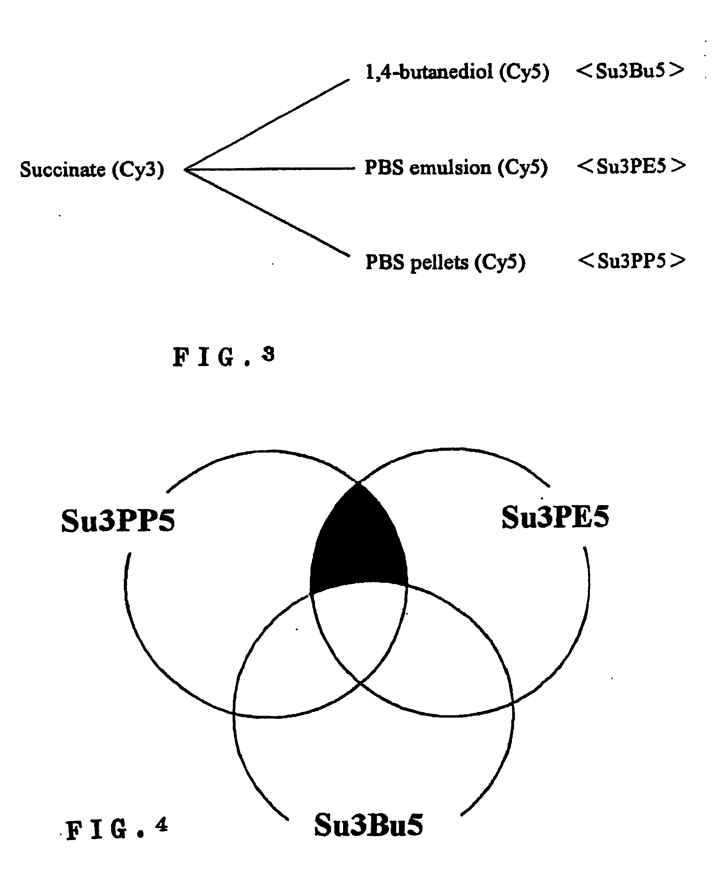 Method of degrading plastic and process for producing useful substance using the same