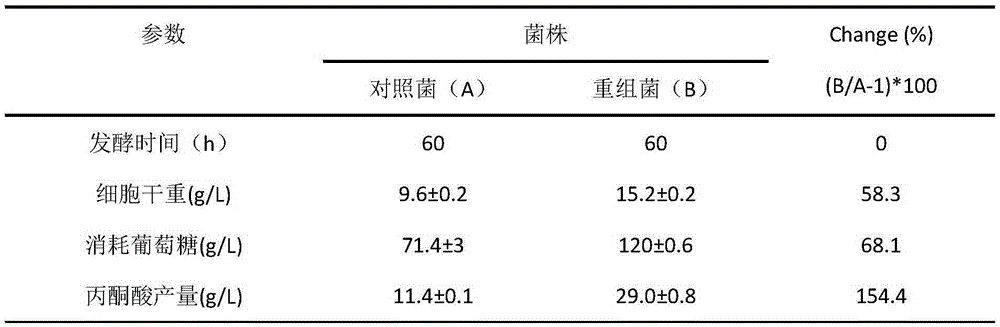 Recombinant bacterium with function of pyruvate production intensity improvement and application of recombinant bacterium with function of pyruvate production intensity improvement