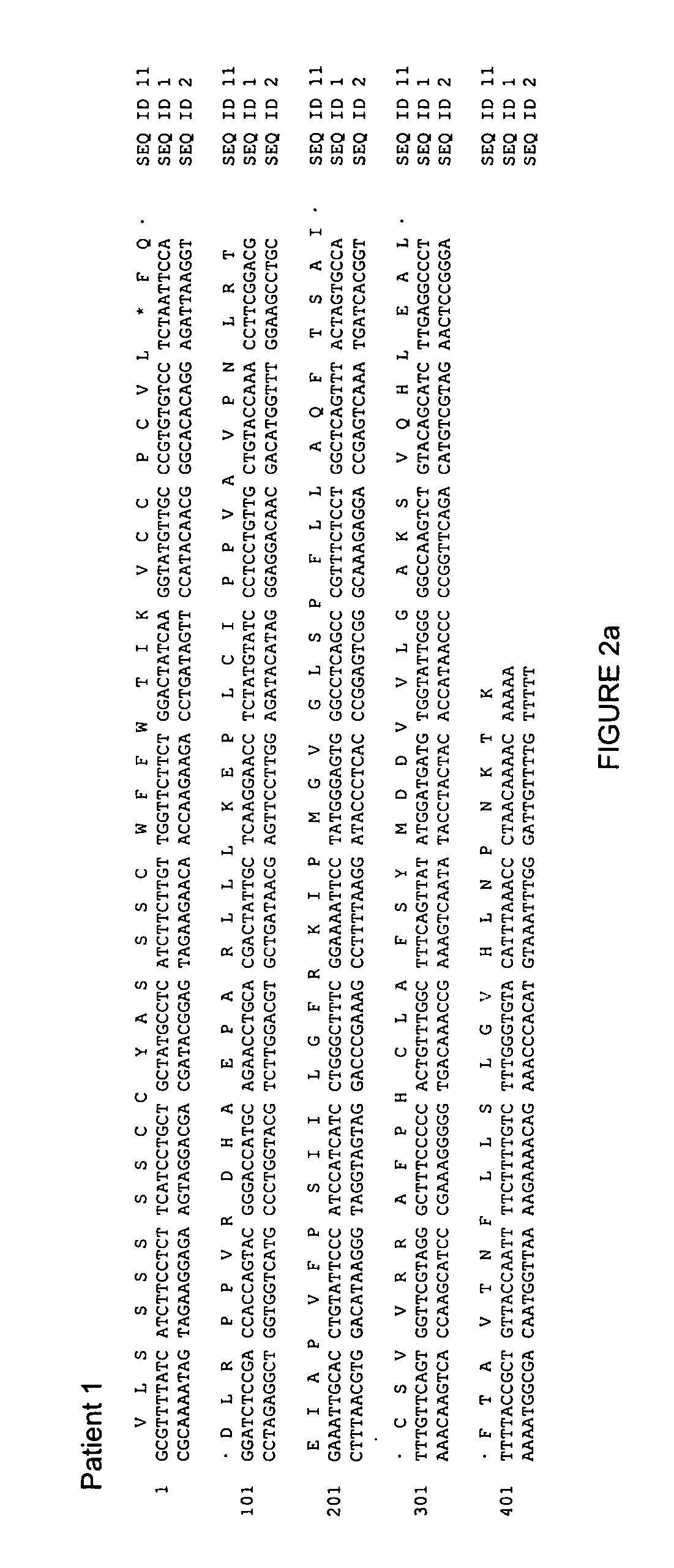 Variants of hepatitis B virus resistant against some nucleoside analogues, but sensitive to others, and uses thereof