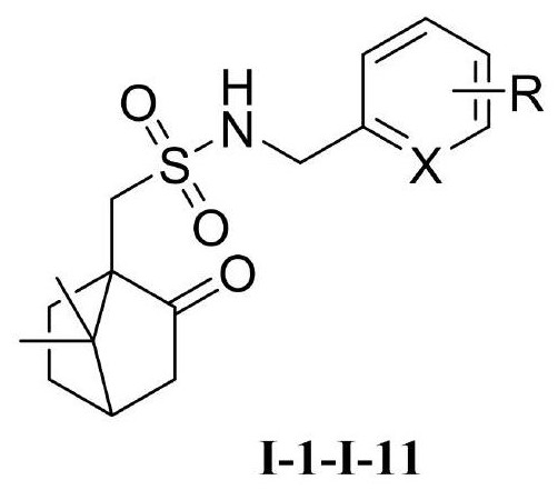 Preparation method and application of camphor sulfonyl benzylamine compound