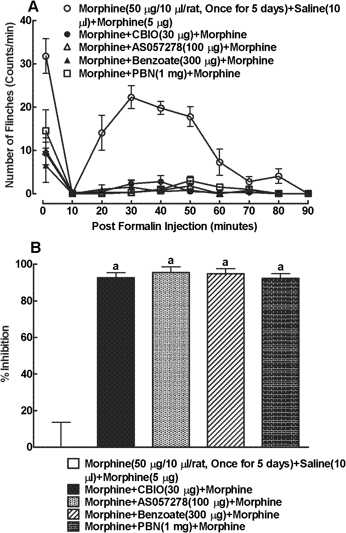 D-amino-acid oxidase inhibitor for preventing and/or reversing opioid tolerance