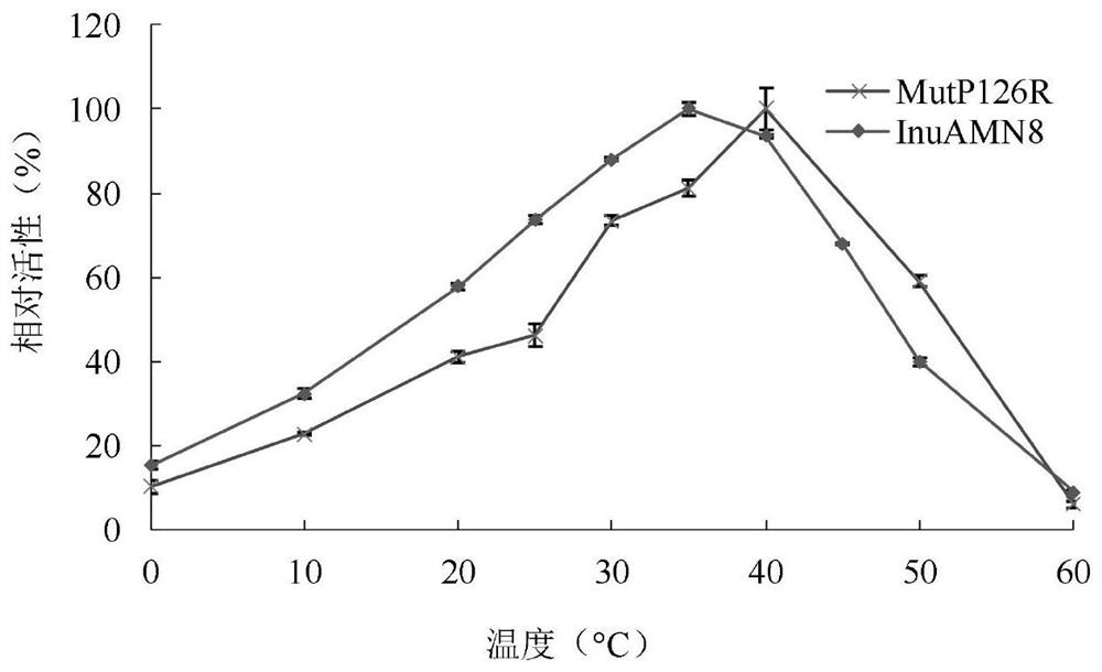 Low-temperature excision inulase mutant MutP126R stable at medium temperature