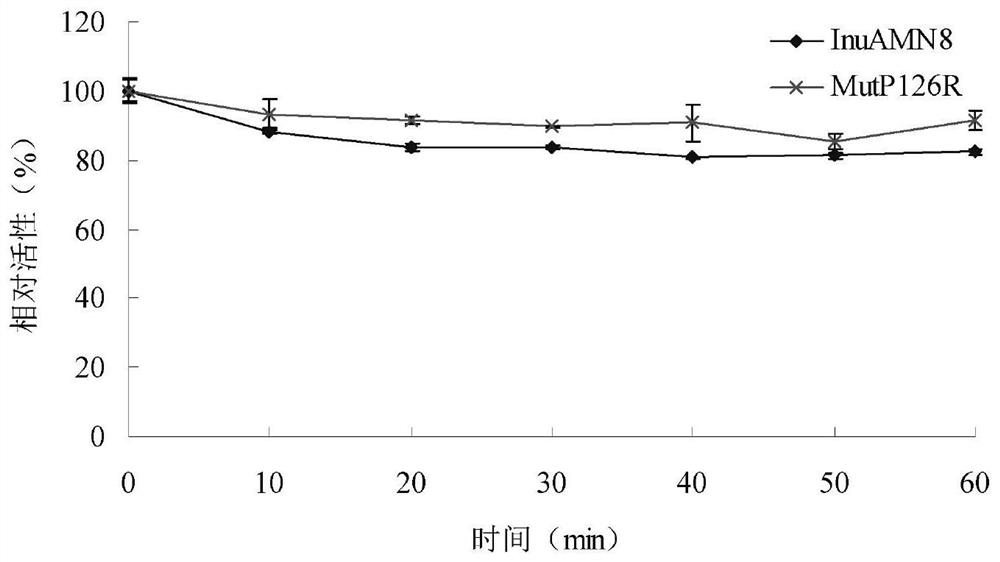 Low-temperature excision inulase mutant MutP126R stable at medium temperature