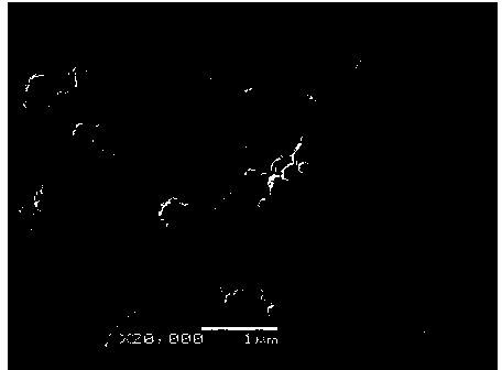 Method for preparing lithium iron pyrophosphate used as positive material for lithium ion battery