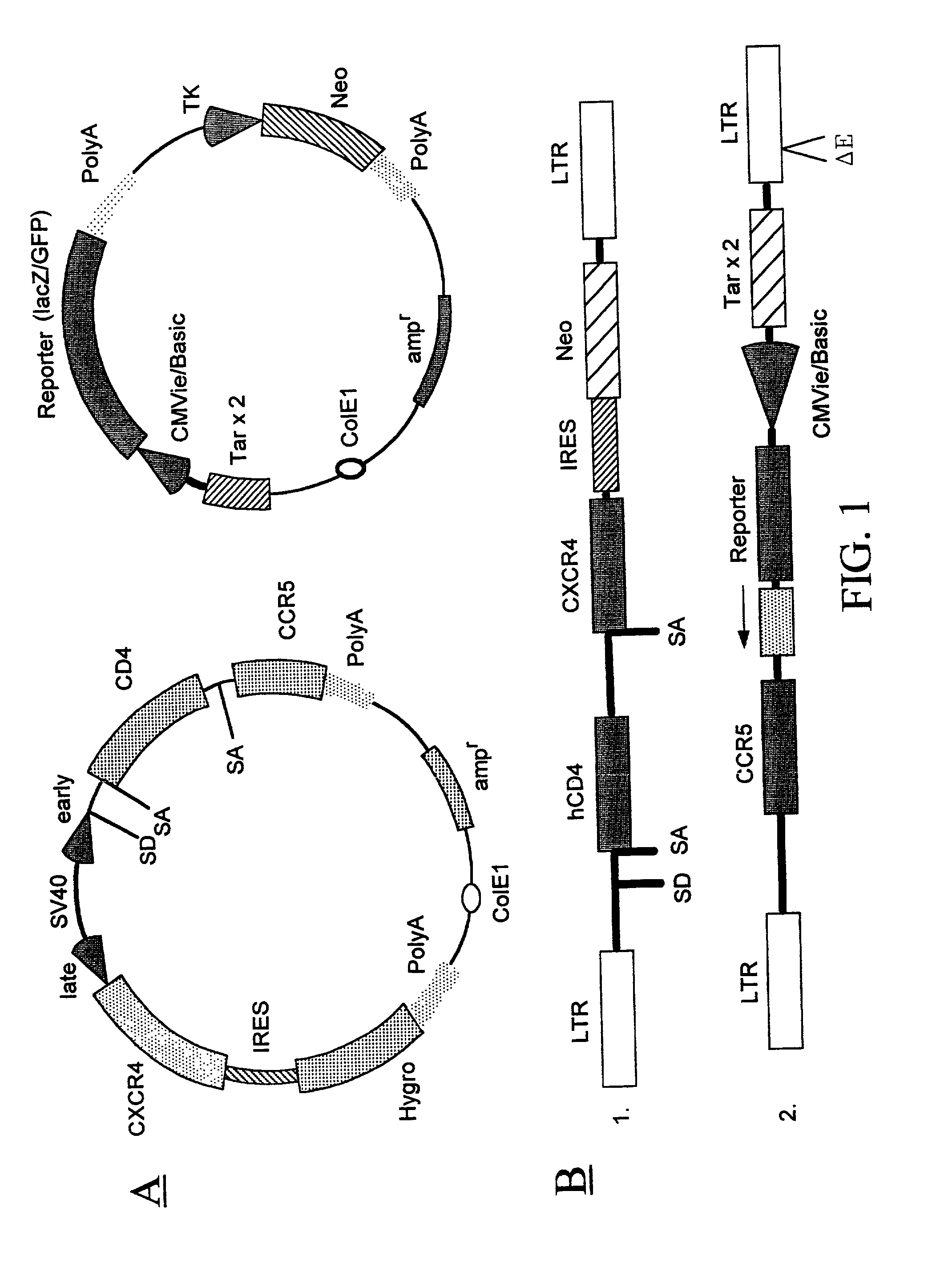 Methods of monitoring HIV drug resistance