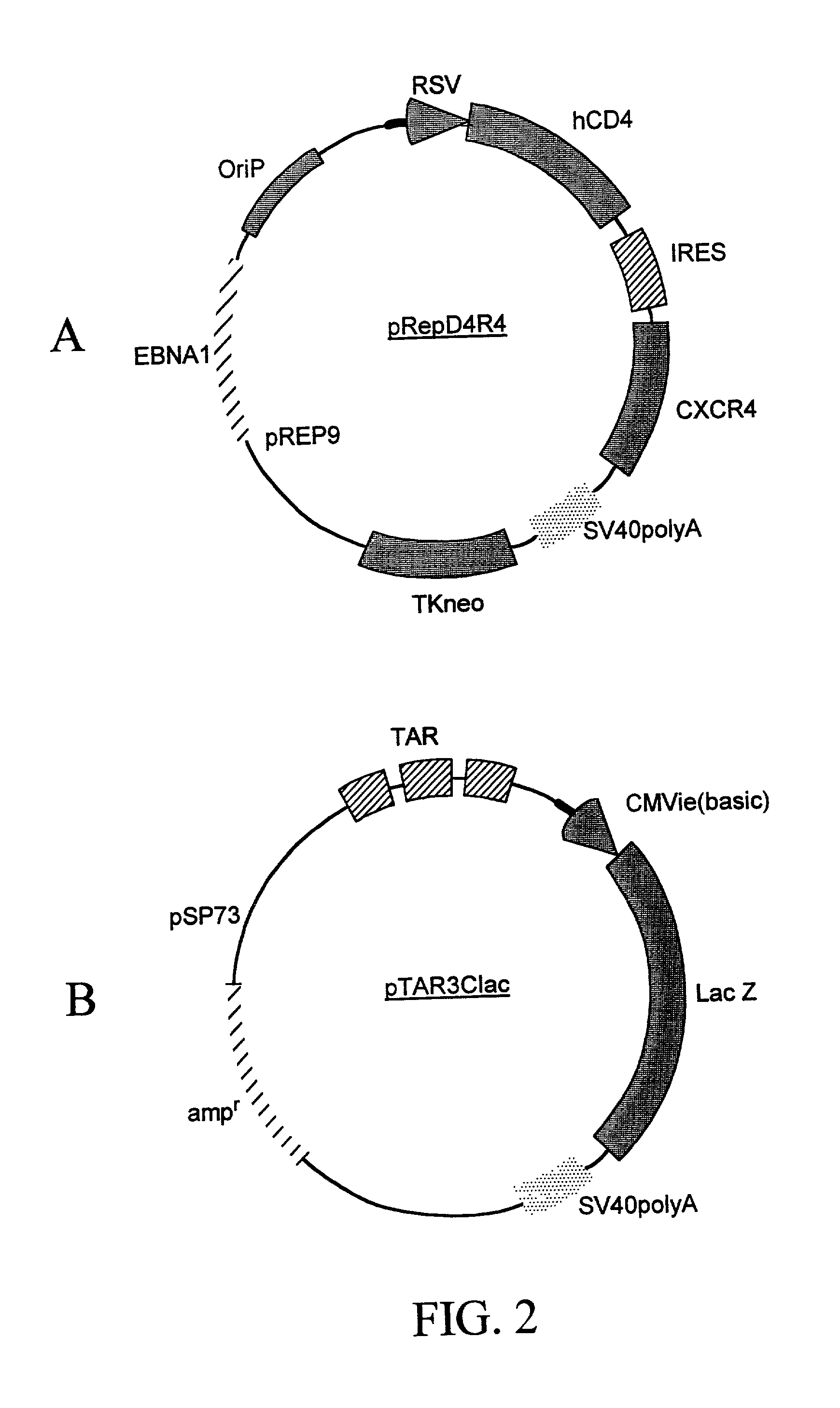 Methods of monitoring HIV drug resistance