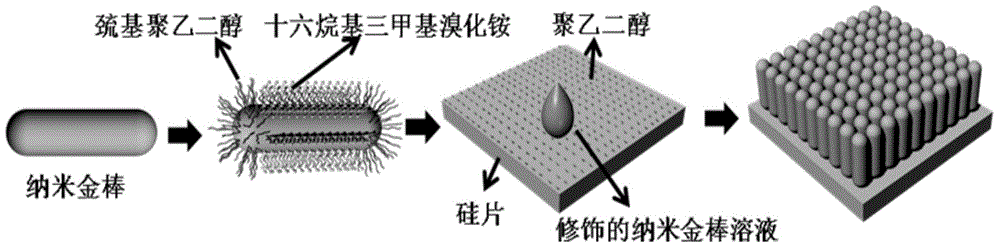 Large-area gold nanorod aligned and ordered array, preparation method and application thereof