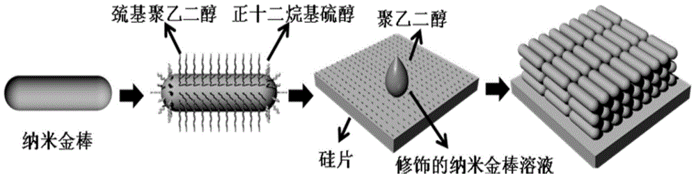 Large-area gold nanorod aligned and ordered array, preparation method and application thereof