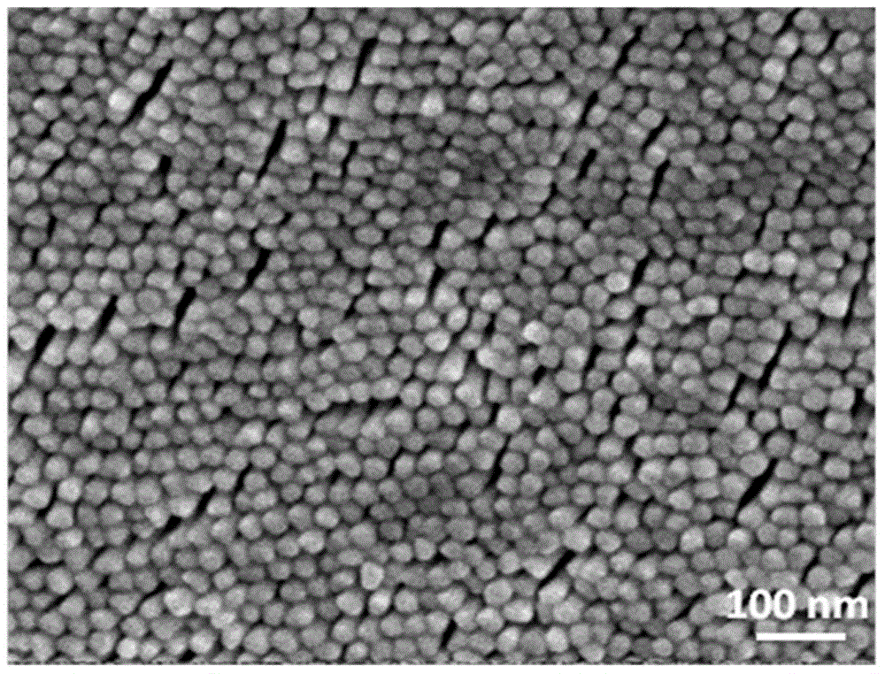 Large-area gold nanorod aligned and ordered array, preparation method and application thereof